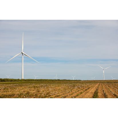 Amazon_wind-farms_1